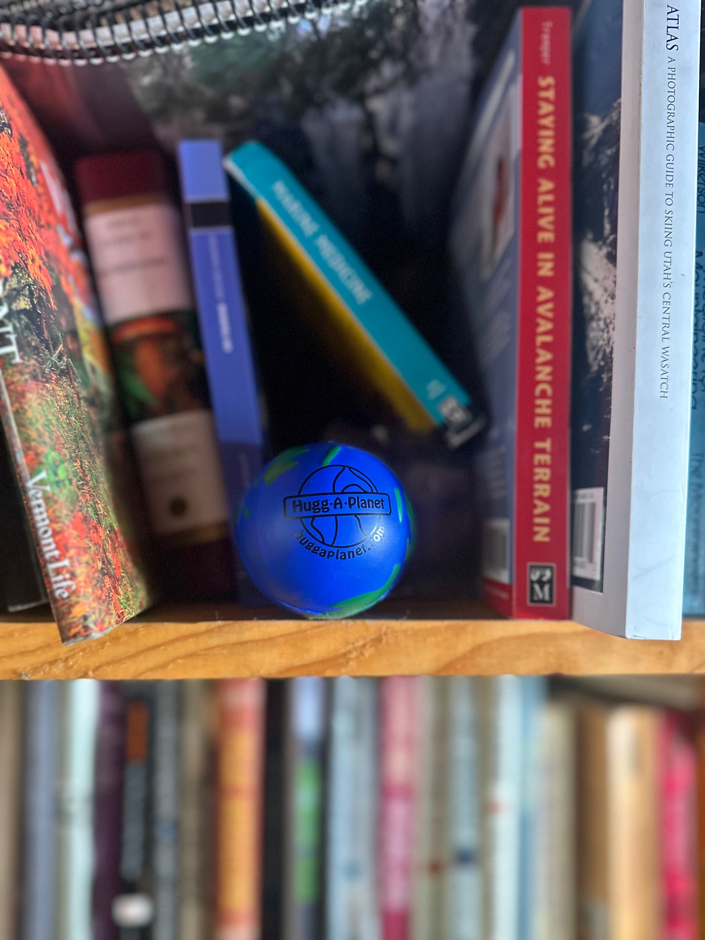Hugg-A-Planet Earth Squeeze Stress Ball