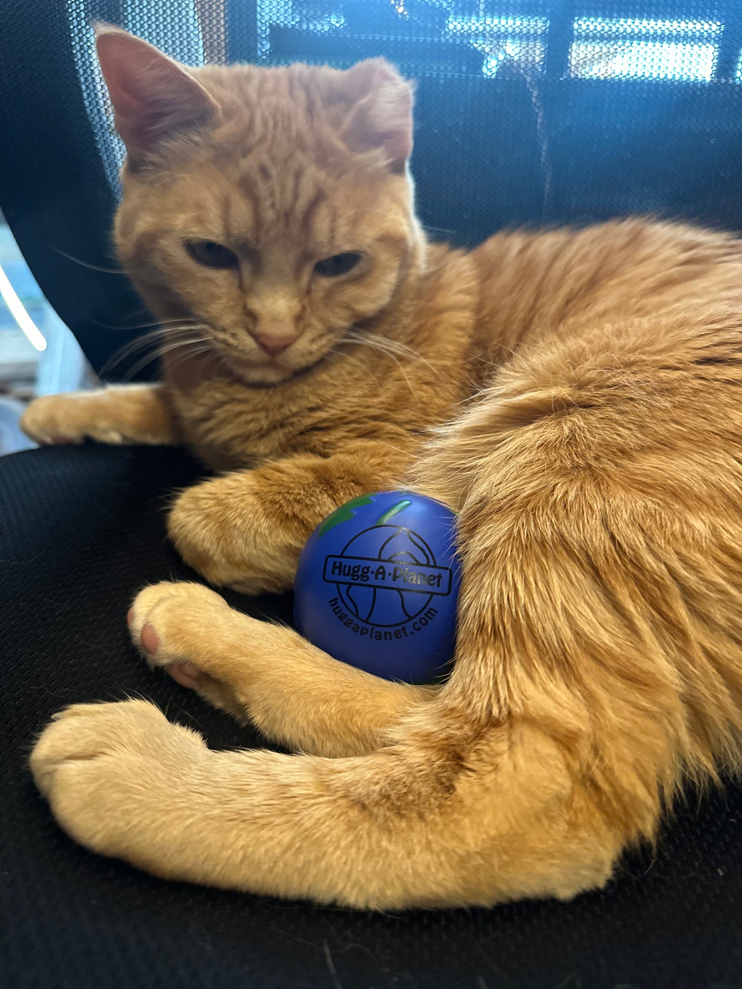 Squeeze-A-Planet Earth Stress Ball